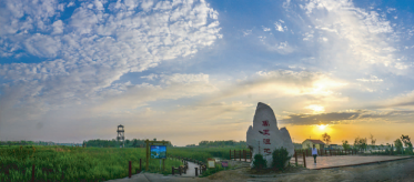 禹王片區鄉村振興