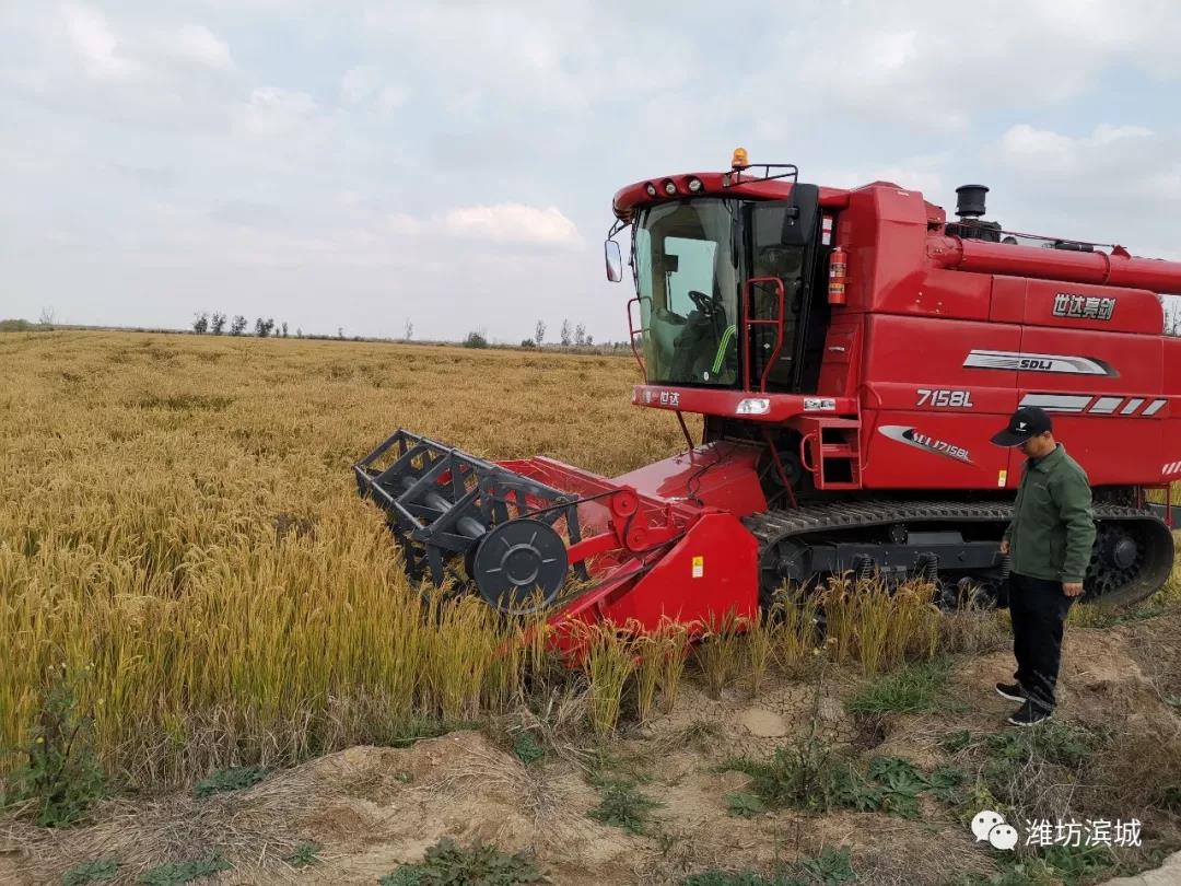 1572232967726805.jpg 1572222517343831.jpg