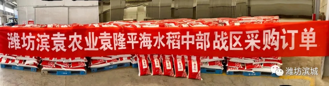 1631841714661685.jpg 640.webp (12).jpg